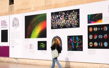 Exposition The Human Brain Project en gare de Marseille Saint-Charles