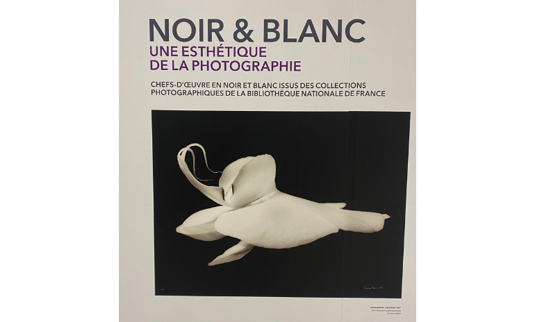 EXPOSITION NOIR BLANC UNE ESTHETIQUE DE LA PHOTOGRAPHIE Gares